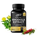 Rhodiola Roseaの補足の高い効力のエキス500mg - 3% Rosavins 1%のSalidrosides AshwagandhaのShisandraの情熱の花のハーブの粉のカプセル-圧力を取除く自然な方法-エネルギーのための丸薬