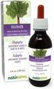 ナチュラルマRhubarb(Rheum PalmatumまたはRheum officinale) ルートとRhizomeアルコールフリーのチンキ - 4 fl oz ドロップで液体エキス - ハーブサプリメント - ビーガン