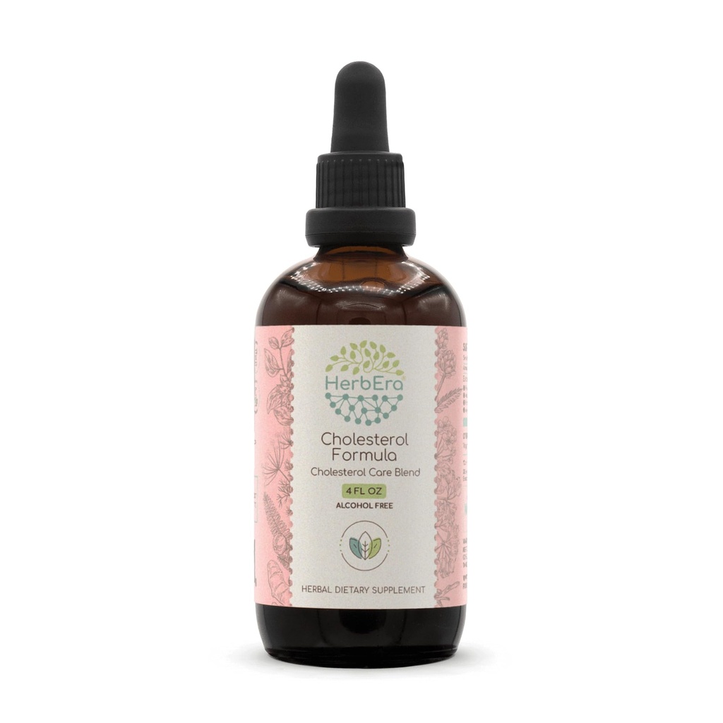 HerbEra CholesterolフォーミュラB120アルコールフリーエキスTinctureアーティチョークリーフ、ホーソーンリーフとフラワー、フェンネルシード、ターメリックルート、アシュワガンダルート、アムラベリー。 Cholesterolの心配のブレンド4 Fl Oz