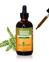 尿中のシステム サポートのためのハーブの Pharm の Chanca Piedra の液体のエキス - 4 つの Ounce