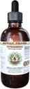 Turmeric Alcohol-Free Liquid Extract, Organic Turmeric (Curcuma Longa) Dried Rhizome Glycerite Natural Herbal Supplement, Hawaii Pharm, USA 2 fl.oz