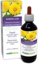 Naturalma Dandelion (Taraxacum officinale) ルートとハーブ アルコールフリー チンキ - 6.76 fl oz 液体エキス ドロップ - ハーブ サプリメント - ビーガン