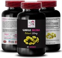 草のエキスの利点 - GINKGO BILOBA EXTRACT - 銀杏ビルバの適量、銀杏ビルバオの使用、草の酸化防止剤の特性、酸化防止剤豊富な補足、銀杏葉は1本のびん60のカプセルを残します