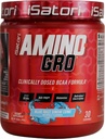 iSatoriのAmino-GRO BCAAの粉、グルタミン、電解質の粉及び筋肉成長及びポストのワークアウトの回復のための生物活動的なペプチッド、青いRazzの雪の円錐形(30のサービング)が付いている分岐させた鎖のアミノ酸