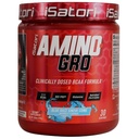 iSatoriのAmino-GRO BCAAの粉、グルタミン、電解質の粉及び筋肉成長及びポストのワークアウトの回復のための生物活動的なペプチッド、青いRazzの雪の円錐形(30のサービング)が付いている分岐させた鎖のアミノ酸