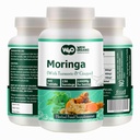 Moringaは、ターメリックとジンジャー、300の丸薬、5ヶ月の供給、150のサービングあたりの1000のMgを錠剤にします。 複数の利点を持つ1つのカプセル - 消化器の健康をサポート(1のパック)