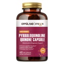 Pyrroloquinoline Quinone-PQQの補足20のmgサポート中心の健康*グルテンフリー、非GMOのVegetarian-60のベジのカプセル