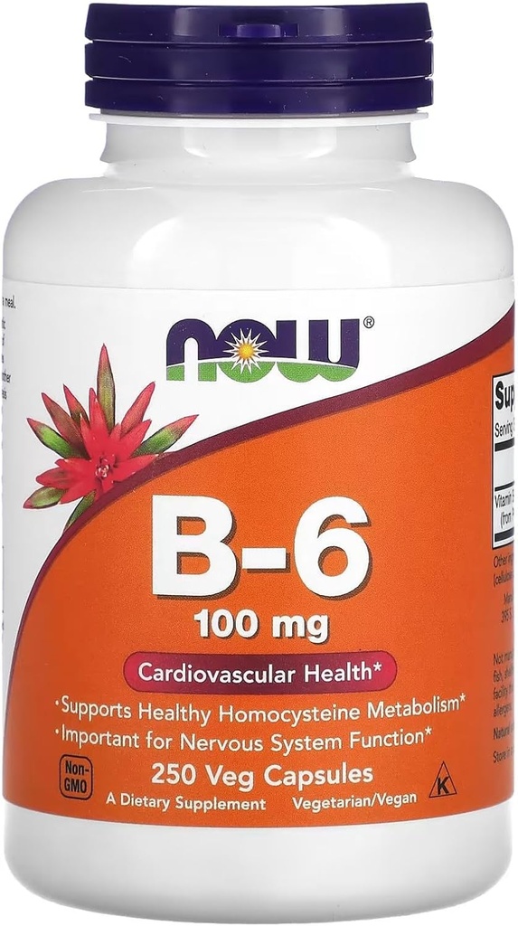 今食糧ビタミンB-6 250のカプセル/100mg