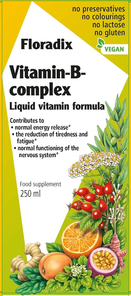 FloradixビタミンB複合液式、250ml