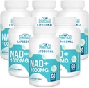 リポソームNAD+サプリメント1000mg | 最大のNAD Pontecy | マックス吸収 | 純粋なNADサプリメント | エネルギーとDNAの修理、老化の防衛、脳機能 | 360 Softgels