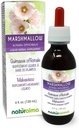 ナチュラルマ・マシュマロ (Althaea officinalis) ルートアルコールフリーのチンキ - 4 fl oz 液体エキス ドロップ - ハーブサプリメント - ビーガン