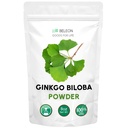 GinkgoのBilobaの粉8のoz -純粋で自然な補足、頭脳サポート、精神的な警戒、注入口は放します