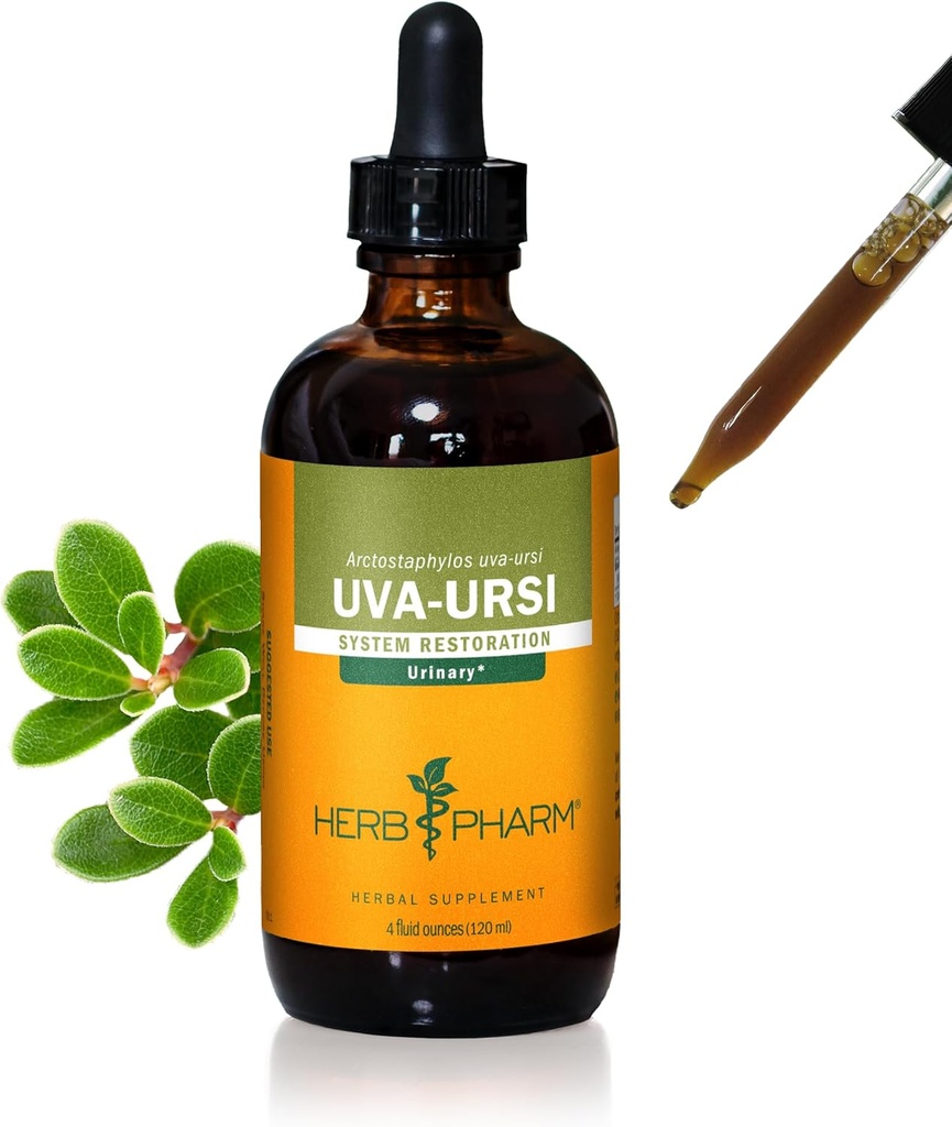 尿中のシステム サポートのためのハーブ Pharm Uva Ursi の液体のエキス - 4 つの Ounce