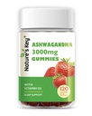 Nature's Key Ashwagandha Gummies, High Potency Ashwagandha Root Extract with Vitamin D2, For Men & Women, Stress, Calm Mood & Cognition, Strawberry Flavor (120 カウント)
