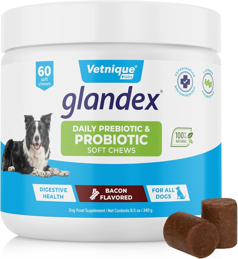 Vetnique Glandexは、プレバイオティクスを備えた犬用の毎日のプロバイオティクスで、繊維および消化酵素、プロバイオティック咀嚼または粉末(60ct咀嚼、ベーコン咀嚼)で腸の健康をサポート