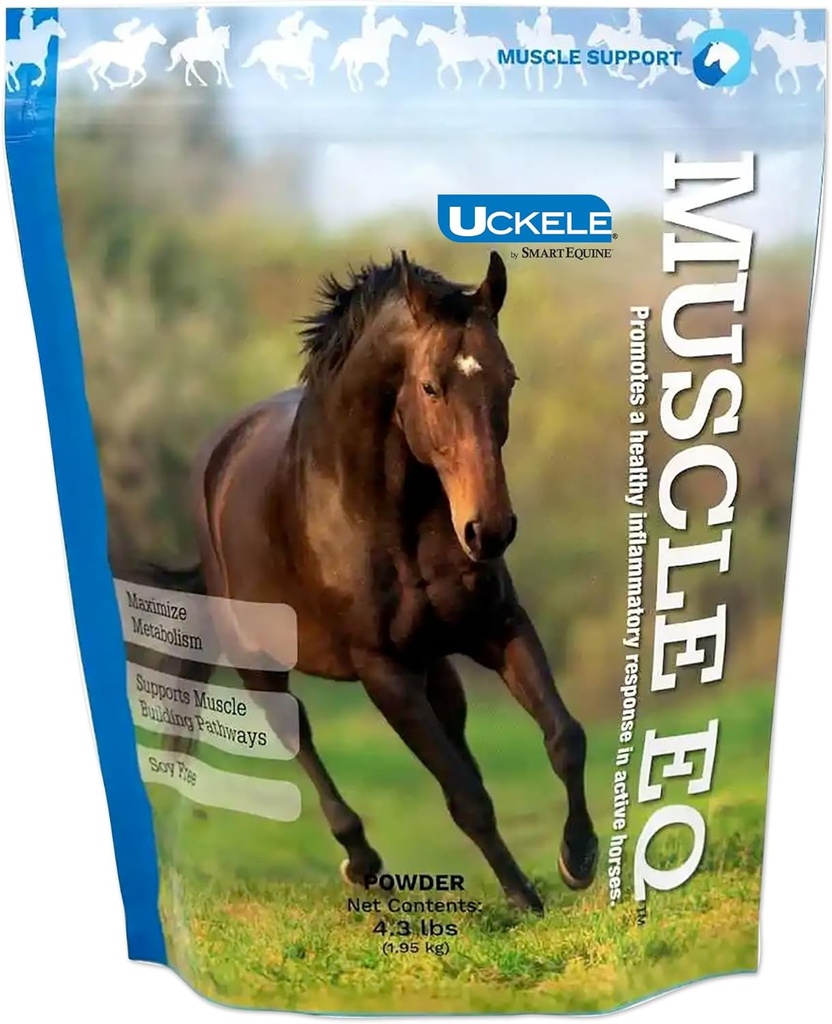 Muscle EQ™ Powder | Muscle Supplement with L-Carnitine for Horses | Amino Acid Beta-Alanine for Optimal Muscle Function & Supports Recovery | 4.3 lb Bag