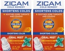 Zicam Cold Remedy Zinc Arctic Mint Oral Mist, 1 Ounce (Pack of 2)