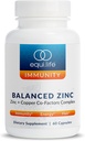 Equilife Balanced Zinc, 15 mg Zinc & Copper Co-Factor Complex Supplement with Vitamin C & Vitamin B6 for Daily Immunity and Wellness Support, Gluten Free, Vegan, Non GMO, 60 Capsules