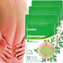 Lumbarの健康パッチ(36 PCS/3袋)