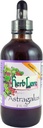 Herb Lore Astragalusのチンキ–液体のAstragalusの根のエキスの低下-免疫システム サポート– 4 Fl Oz