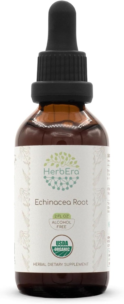 HerbEra Echinacea Root B60 USDA Organic Tincture | アルコールフリーエキス、高周波ハーブドロップ、免疫システム健康 | 認定有機Echinacea Root(Echinacea Purpurea)ドライルート(2 fl oz)