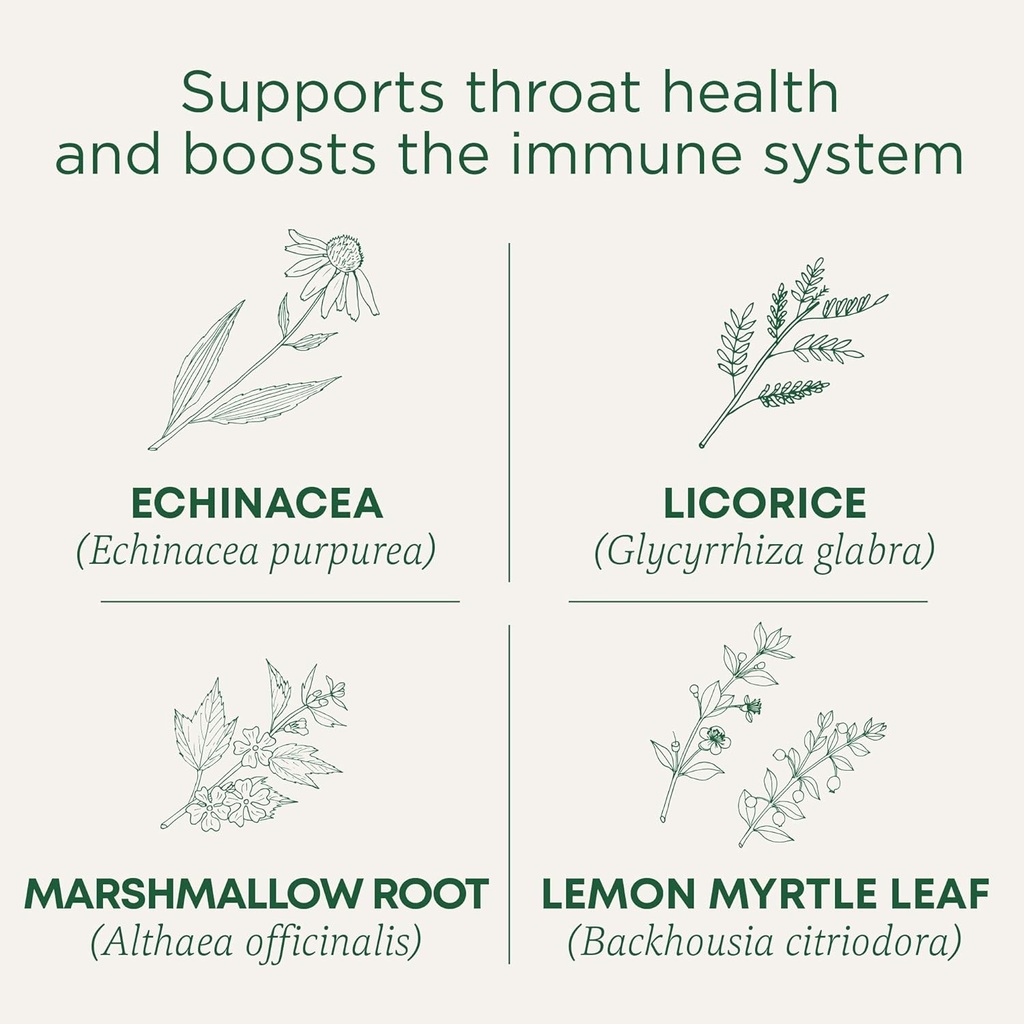 伝統的な薬用ロゼンジ、有機スロアットコートレモンジンジャーEchinacea、ソア Throatサポート、16カウント(パッケージ2)