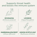 伝統的な薬用ロゼンジ、有機スロアットコートレモンジンジャーEchinacea、ソア Throatサポート、16カウント(パッケージ2)