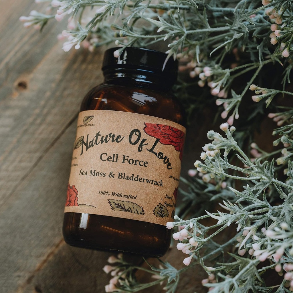 オーガニックアイリッシュ海苔はブラッドダーラックでカプセル - 100%ナチュラル、ビーガン、オーガニック、非GMO - Sebi Inspired博士