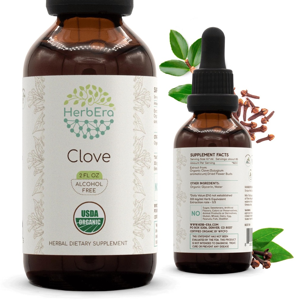HerbEra Clove B60 USDA Organic Tincture | アルコールフリーエキス、高機能ハーブドロップ、免疫システムヘルス | 認定オーガニッククローブ(Syzygium Aromaticum) ドライフラワーブッド(2 fl oz)