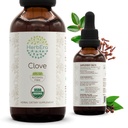 HerbEra Clove B60 USDA Organic Tincture | アルコールフリーエキス、高機能ハーブドロップ、免疫システムヘルス | 認定オーガニッククローブ(Syzygium Aromaticum) ドライフラワーブッド(2 fl oz)