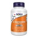 NOW Foodsは、L-Carnosine(β-Alanyl-L-Histidine)500mg、健康な老化、100ベジーカプセルを補います