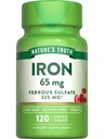 自然の真理の鉄の補足 | 65mg | 120錠 | 325mgの鉄硫酸塩 | 非GMO及びグルテンフリーの丸薬