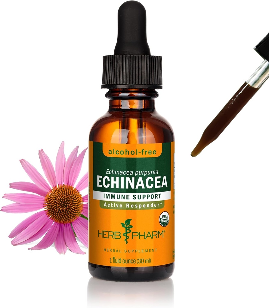 ハーブ Pharm の有機性 Echinacea の根のエキス、アルコールなし: すべての季節のための免疫 システム サポート、Echinacea の植物の補足、非GMO、ビーガン及びグルテンフリー、1 つの Oz
