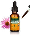 ハーブ Pharm の有機性 Echinacea の根のエキス、アルコールなし: すべての季節のための免疫 システム サポート、Echinacea の植物の補足、非GMO、ビーガン及びグルテンフリー、1 つの Oz
