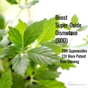 Immortalitea Gynostemmaカプセル(Jiaogulan) - 全葉フルスペクトラム - 天然アダプトゲン&ampk活性剤サプリメント - Veggieカプセル - 100カウント、500mg