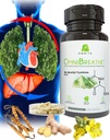 OMNIBREATHE - NAC 600MGの科学的にフォーミュラされたw. Quercetin/Mullein/Coq 10/Ginger/Stinginging Nettle/Bromelain、食事(ブーストへの10日の供給)によるBreathing問題を改善する速い