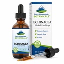 純粋な山の植物の液体Echinaceaの低下–Kosher Tinctureアルコールの自由なエキス- 500mg有機性Echinacea -1ozのびん
