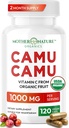天然VIT C、生抗酸化剤 - 免疫サポートサプリメント&皮膚用アンチエイジング - 有機、ビーガン、非GMO(120カウント)