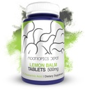 Nootropicsのデポのレモン バルムのエキスのタブレット | 500mg | 120の計算 | 10:1水エタノールのエキス