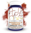 Nootropics Depot CistancheのSupercritical CO2のエキスのカプセル  20%のEchinacoside + 20% Verbascoside (アセトサイド)  60の計算