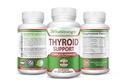 Thyroidサポート - Iodine、Bradderwrack、Kellp、B12およびより多くの甲状腺エネルギーとエネルギーレベルをサポートする完全な式:T4をT3の補足にブースト - 非GMO