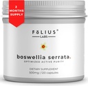 Boswellia Serrataのエキスの補足500mg -健康な共同サポート、筋肉救助サポート- 65%のボスウェリン酸-インドのOlibanum/Frankincense、120の帽子から抽出される