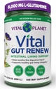 Vitalプラネット - Lグルタミン、マシュマロ、ジンジャールート、DGL Licorice Root、有機アロエベラ、Lグルタミン6000mg 13.76のozとのLeaky Gutの修理のためのVital Gut Renewの粉の補足