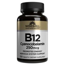 ビタミンB-12 TABS 250 MCG WMILLのサイズ:100