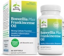 Terry Naturally Boswellia Plus Frankincense Oil - モビリティと共同の快適さをサポートする共同サポートサプリメント - BoswelliaとFrankincense Oilでセルラーヘルスをサポート - 60 Softgels