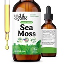 ワイルド&オーガニック海苔液滴 - 免疫サポート - アイルランドの海苔とBradderwrack Tincture - マルチミネラルコンドラスクリスプスサプリメント - ビーガン、砂糖&アルコールフリー - 2 floz