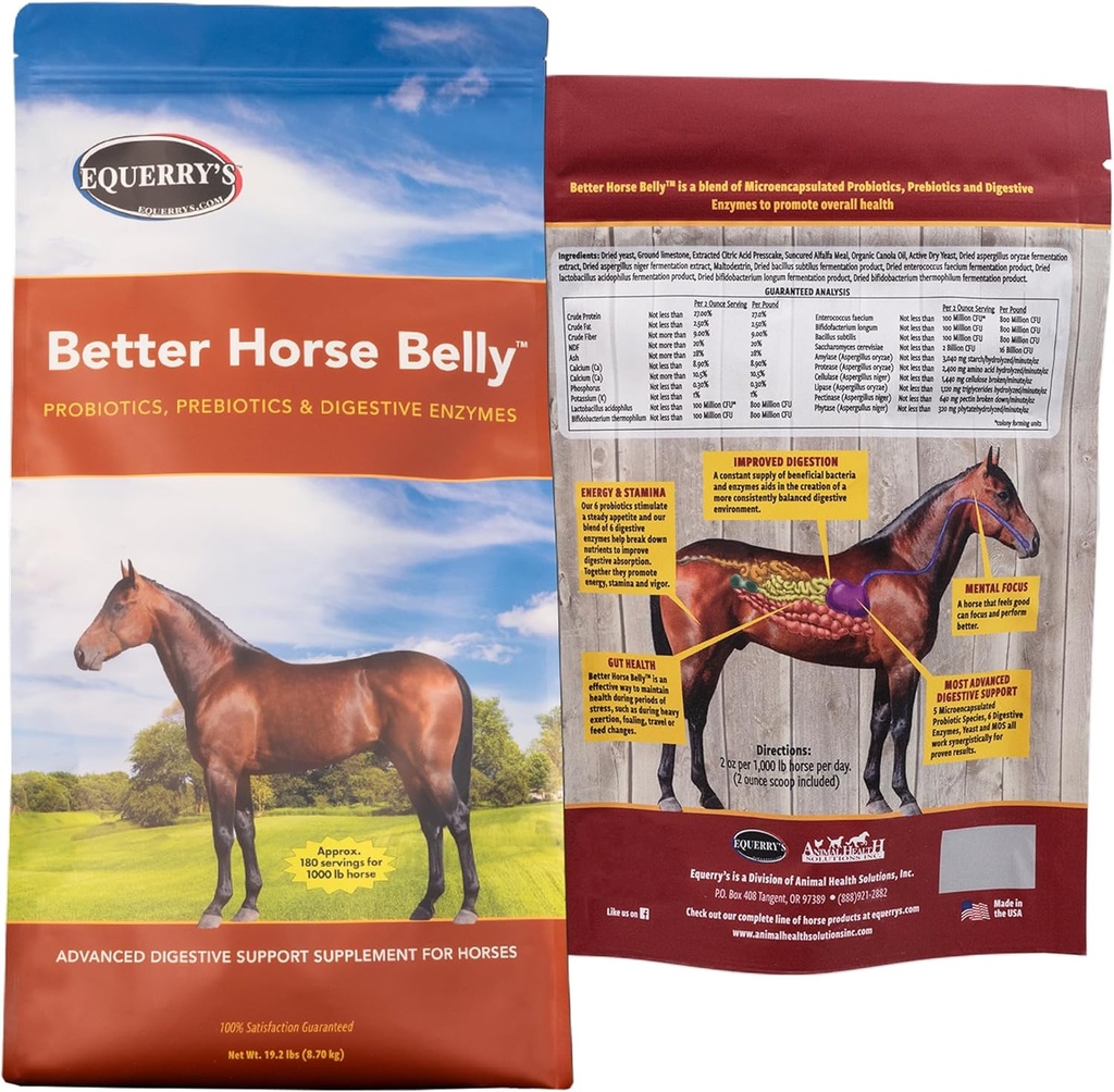 EQUERRY'S Better Horse Belly - Gut サポートとサプリメント | プレバイオティクスと消化酵素の酵素のプロバイオティクス | 疝痛、消化器用upset用 - 19.2 LB