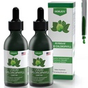 Chlorophyllの液体の低下- 100%の自然なエネルギー ブースターおよび免疫サポート-内部消臭剤および解毒-高度の病気の軽減-速い吸収、ビーガン及び非GMO - 120のサービング(パッケージ2)