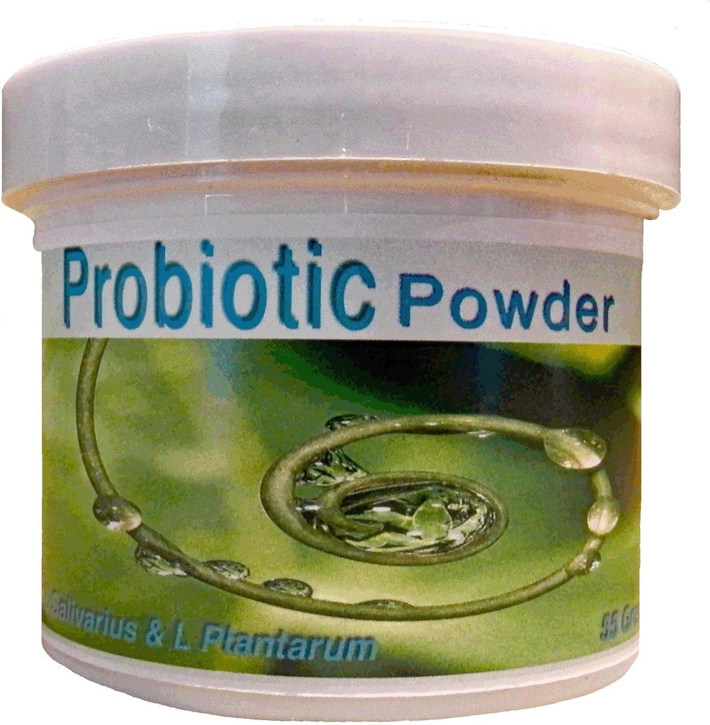 Probioticsの粉55グラム