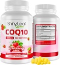 光沢のある葉のCoQ10 100mg -Chewable CoQ10の補足-心の健康及びエネルギーのためのCoenzyme Q10 -心血管のウェルネスのための自然なCo Q 10の補足- 100mgのChewableタブレット、米国でなされる90のタブレット